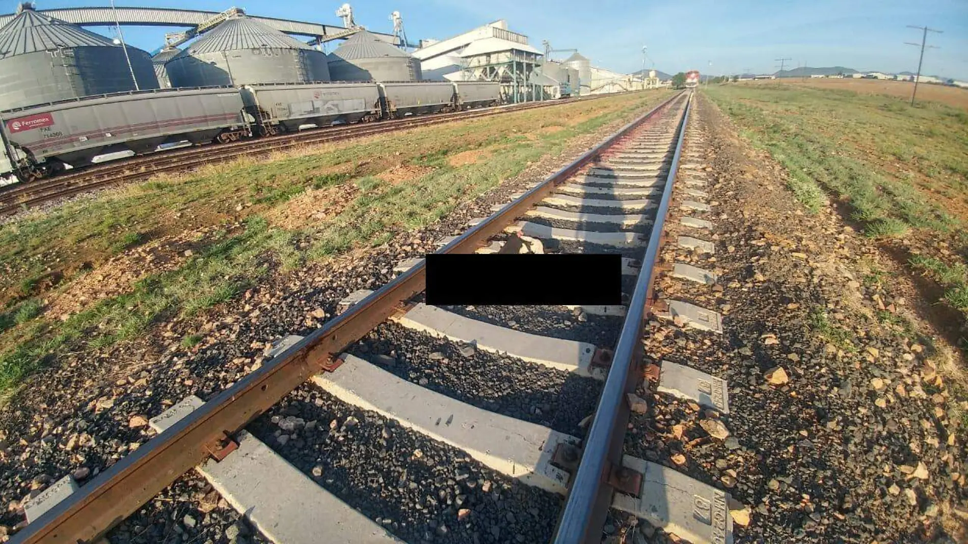 Sufrió múltiples mutilaciones, se cree que era varón y viajaba a bordo del tren